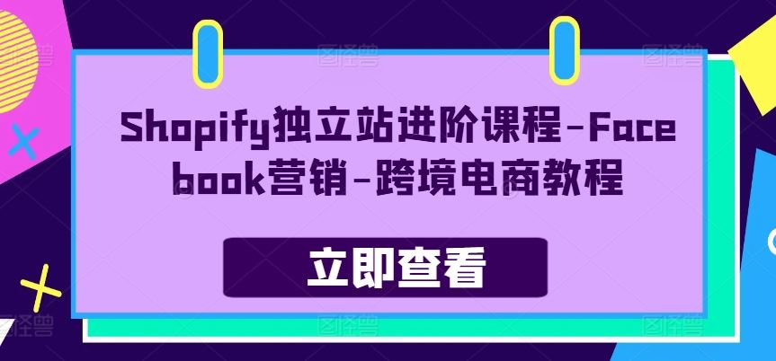 Shopify独立站进阶课程-Facebook营销-跨境电商教程-立业有术