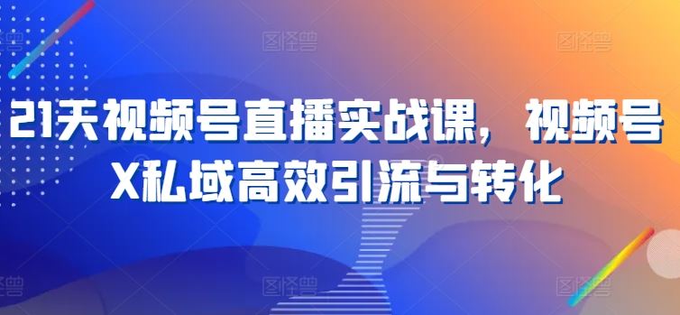 21天视频号直播实战课，视频号X私域高效引流与转化-立业有术