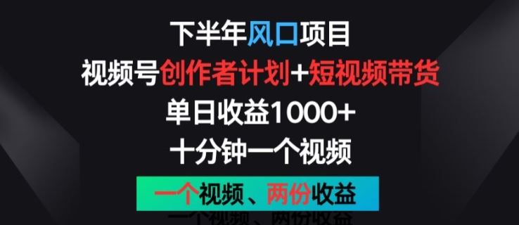 下半年风口项目，视频号创作者计划+视频带货，一个视频两份收益，十分钟一个视频【揭秘】-立业有术