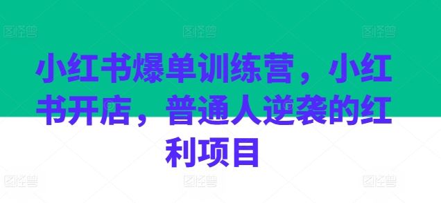 小红书爆单训练营，小红书开店，普通人逆袭的红利项目-立业有术