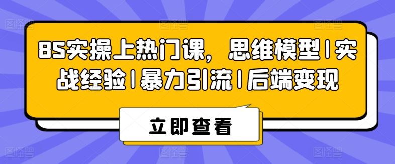8S实操上热门课，思维模型|实战经验|暴力引流|后端变现-立业有术