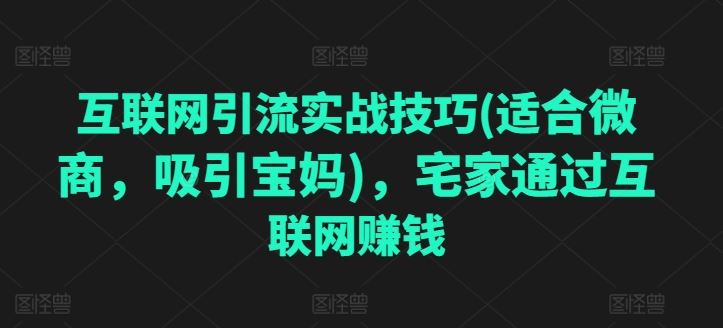 互联网引流实战技巧(适合微商，吸引宝妈)，宅家通过互联网赚钱-立业有术