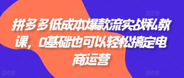 拼多多低成本爆款流实战私教课，0基础也可以轻松搞定电商运营-立业有术