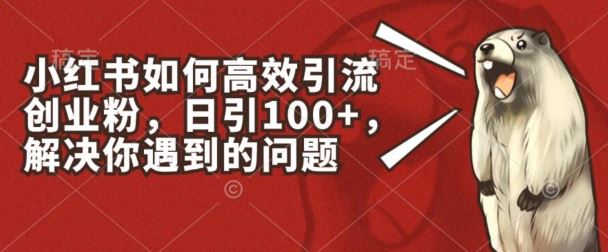 小红书如何高效引流创业粉，日引100+，解决你遇到的问题【揭秘】-立业有术
