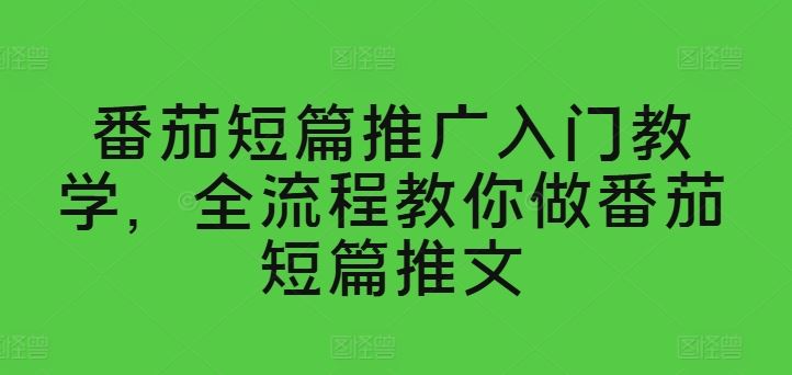 番茄短篇推广入门教学，全流程教你做番茄短篇推文-立业有术