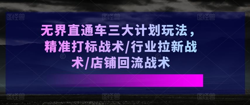 无界直通车三大计划玩法，精准打标战术/行业拉新战术/店铺回流战术-立业有术