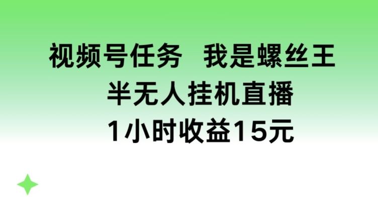 视频号任务，我是螺丝王， 半无人挂机1小时收益15元【揭秘】-立业有术