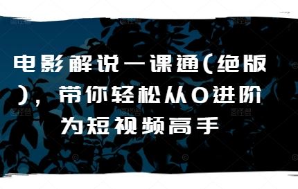 电影解说一课通(绝版)，带你轻松从0进阶为短视频高手-立业有术