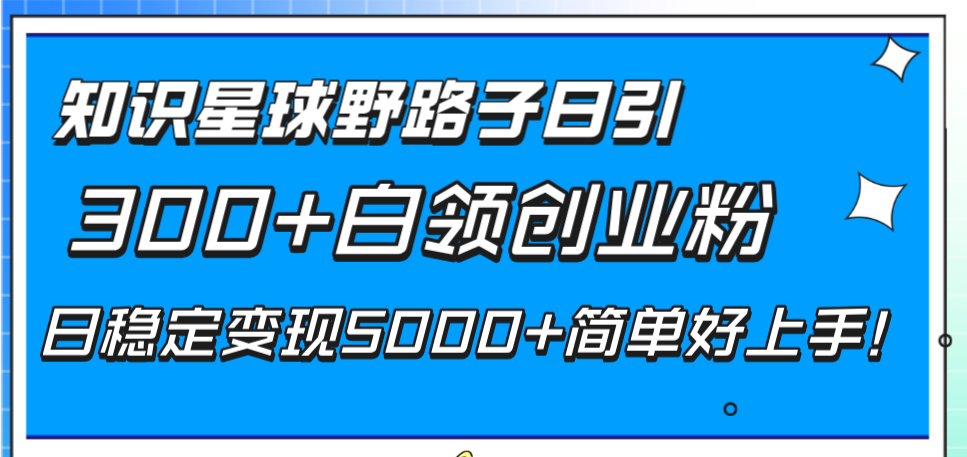 （8315期）知识星球野路子日引300+白领创业粉，日稳定变现5000+简单好上手！-立业有术