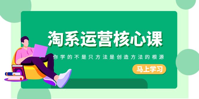 （8392期）淘系-运营核心课，你学的不是只方法是创造方法的根源（190节课）-立业有术