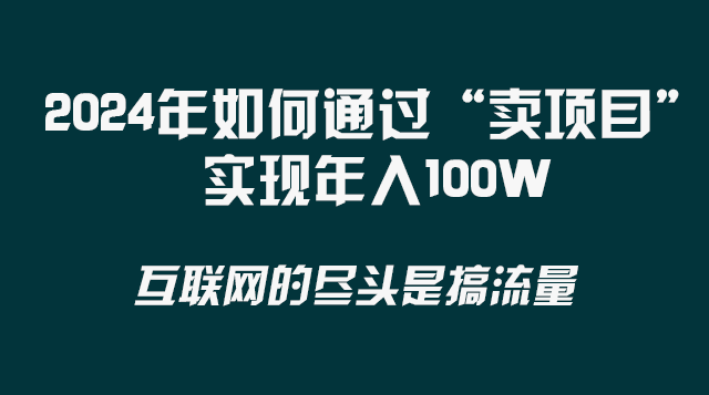 （8382期） 2024年如何通过“卖项目”实现年入100W-立业有术