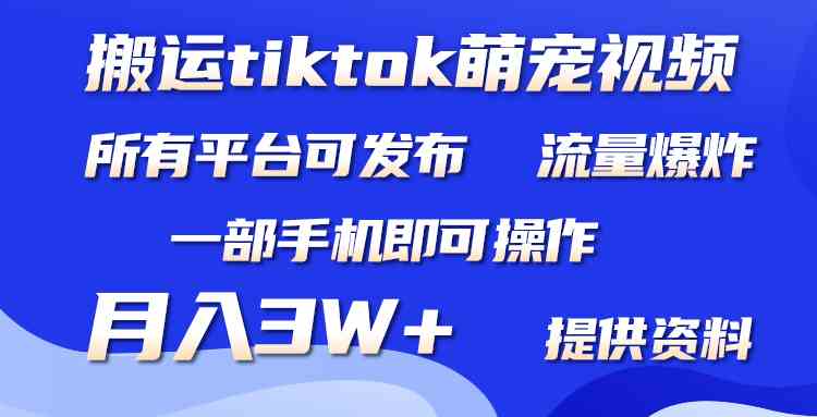 （9618期）搬运Tiktok萌宠类视频，一部手机即可。所有短视频平台均可操作，月入3W+-立业有术