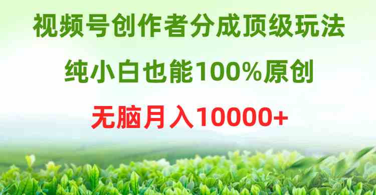 （9608期）视频号创作者分成顶级玩法，纯小白也能100%原创，无脑月入10000+-立业有术