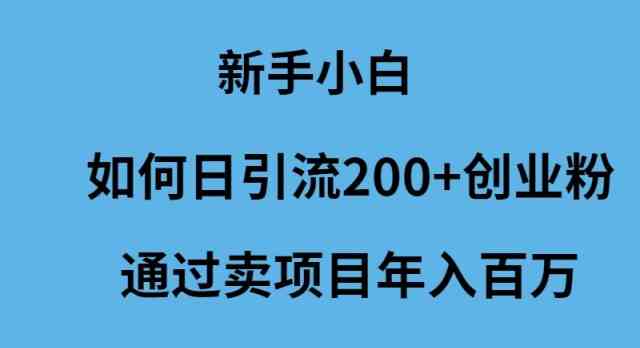 （9668期）新手小白如何日引流200+创业粉通过卖项目年入百万-立业有术