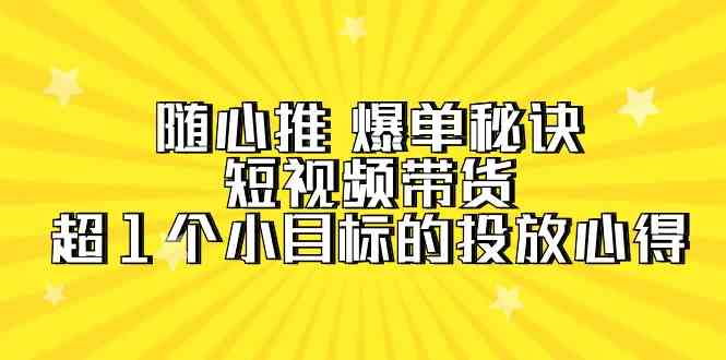 （9687期）随心推 爆单秘诀，短视频带货-超1个小目标的投放心得（7节视频课）-立业有术