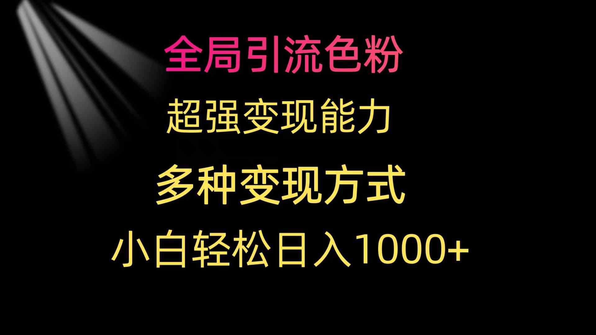 （9680期）全局引流色粉 超强变现能力 多种变现方式 小白轻松日入1000+-立业有术