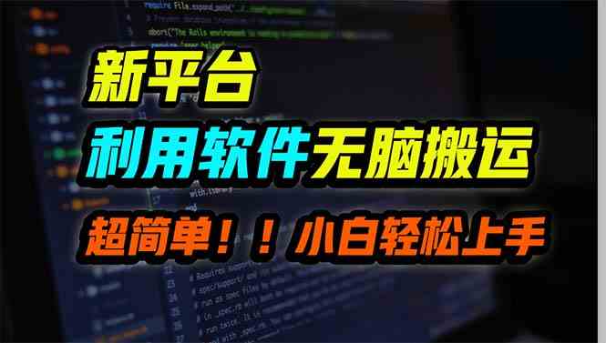 （9745期）新平台用软件无脑搬运，月赚10000+，小白也能轻松上手-立业有术