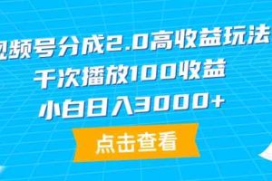 （9716期）视频号分成2.0高收益玩法，千次播放100收益，小白日入3000+-立业有术