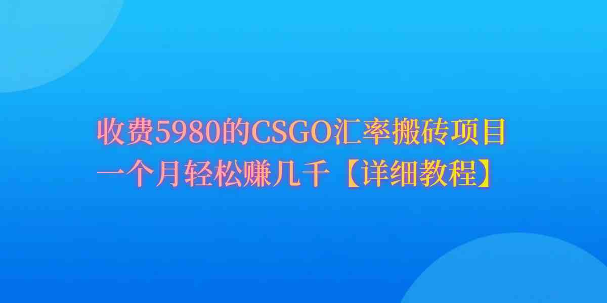 （9776期）CSGO装备搬砖，月综合收益率高达60%，你也可以！-立业有术