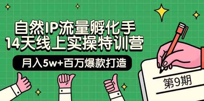 （9881期）自然IP流量孵化手 14天线上实操特训营【第9期】月入5w+百万爆款打造 (74节)-立业有术
