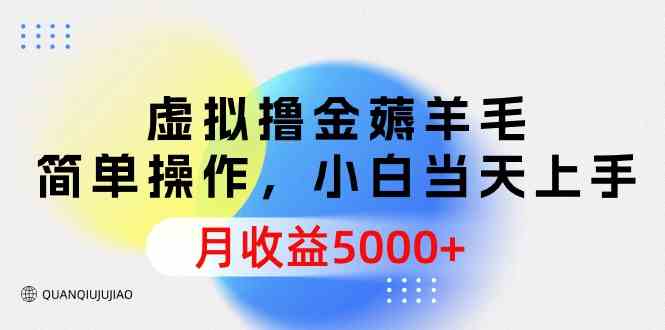 （9864期）虚拟撸金薅羊毛，简单操作，小白当天上手，月收益5000+-立业有术
