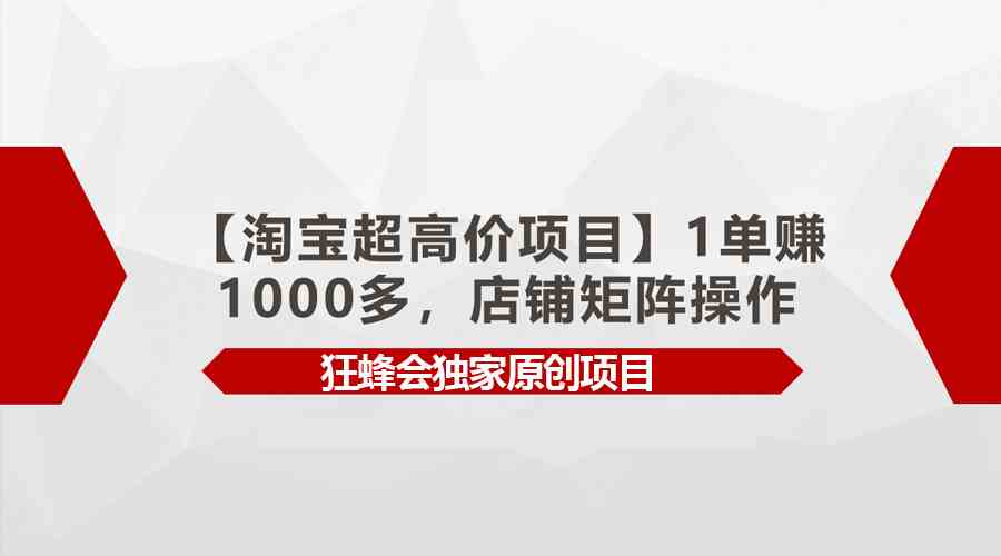（9849期）【淘宝超高价项目】1单赚1000多，店铺矩阵操作-立业有术