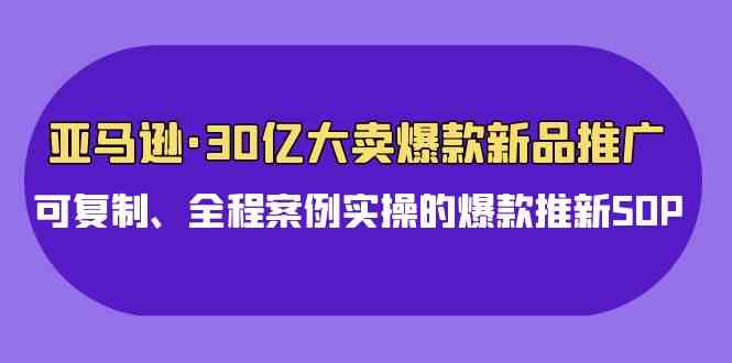 （9944期）亚马逊30亿·大卖爆款新品推广，可复制、全程案例实操的爆款推新SOP-立业有术