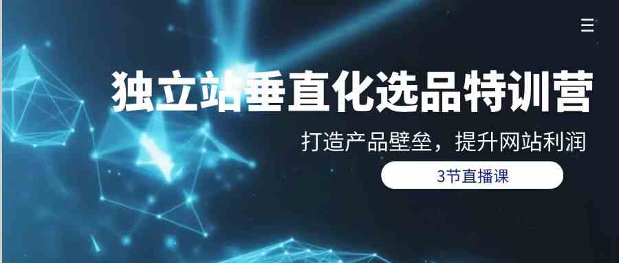 （9925期）独立站-垂直化选品训练营，打造产品壁垒，提升网站利润（3节直播课）-立业有术