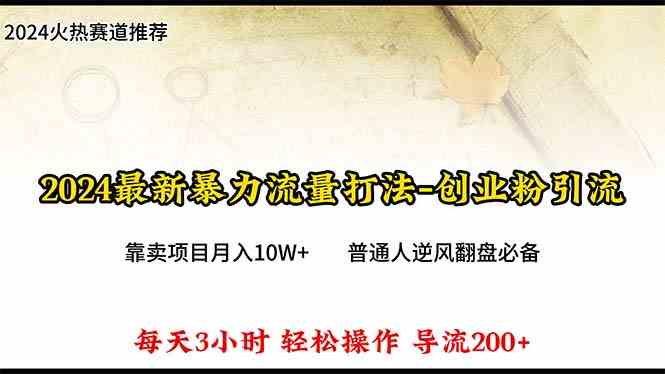 （10151期）2024年最新暴力流量打法，每日导入300+，靠卖项目月入10W+-立业有术