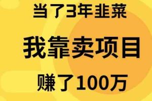 （10149期）当了3年韭菜，我靠卖项目赚了100万-立业有术