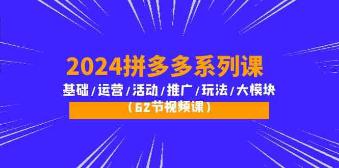 （10019期）2024拼多多系列课：基础/运营/活动/推广/玩法/大模块（62节视频课）-立业有术