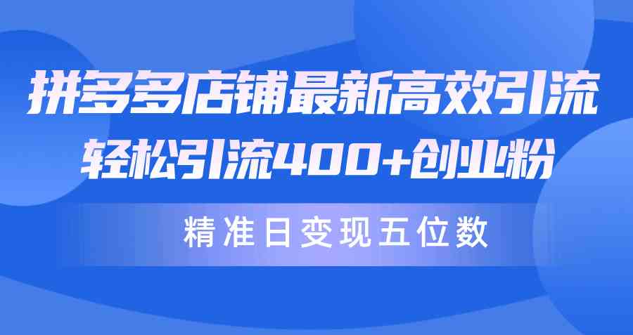 （10041期）拼多多店铺最新高效引流术，轻松引流400+创业粉，精准日变现五位数！-立业有术