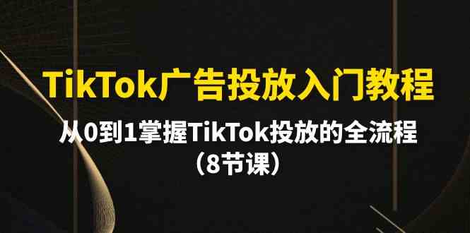 （10085期）TikTok广告投放入门教程，从0到1掌握TikTok投放的全流程（8节课）-立业有术
