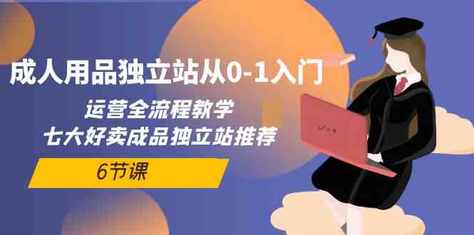 （10082期）成人用品独立站从0-1入门，运营全流程教学，七大好卖成品独立站推荐-6节课-立业有术
