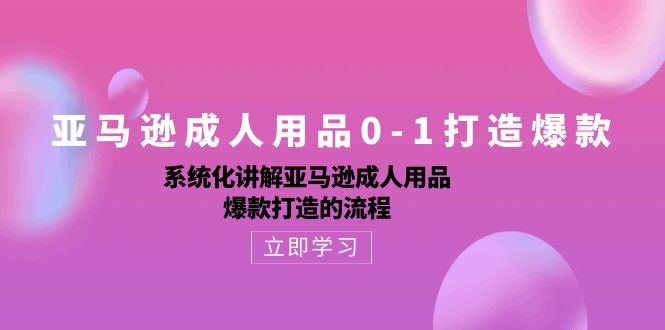 （10493期）亚马逊成人用品0-1打造爆款：系统化讲解亚马逊成人用品爆款打造的流程-立业有术