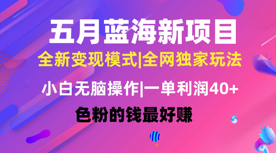 （10477期）五月蓝海项目全新玩法，小白无脑操作，一天几分钟，矩阵操作，月入4万+-立业有术