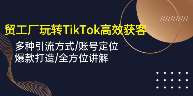 （10302期）外贸工厂玩转TikTok高效获客，多种引流方式/账号定位/爆款打造/全方位讲解-立业有术