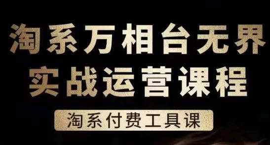 淘系万相台无界实战运营课，淘系付费工具课-立业有术