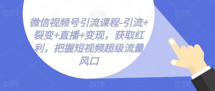微信视频号引流课程-引流+裂变+直播+变现，获取红利，把握短视频超级流量风口-立业有术