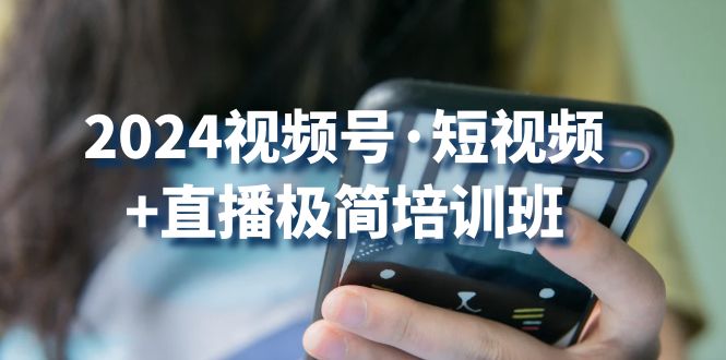 （10797期）2024视频号·短视频+直播极简培训班：抓住视频号风口，流量红利-立业有术