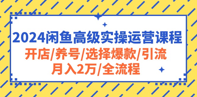 （10711期）2024闲鱼高级实操运营课程：开店/养号/选择爆款/引流/月入2万/全流程-立业有术