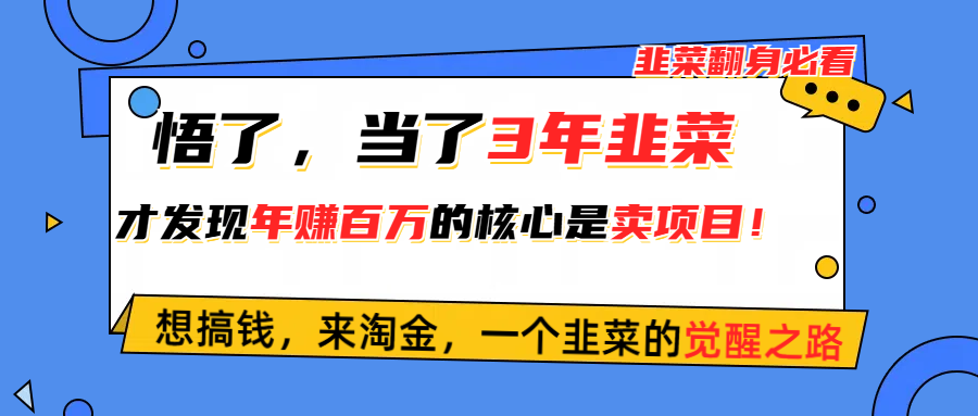 （10759期）悟了，当了3年韭菜，才发现网赚圈年赚100万的核心是卖项目，含泪分享！-立业有术