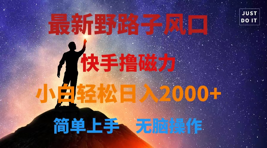 （10754期）最新风口！快手撸磁力，野路子，小白无脑操作日入2000+-立业有术
