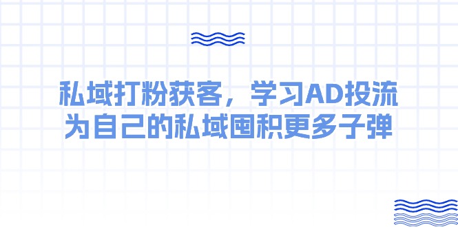 （10728期）某收费课：私域打粉获客，学习AD投流，为自己的私域囤积更多子弹-立业有术