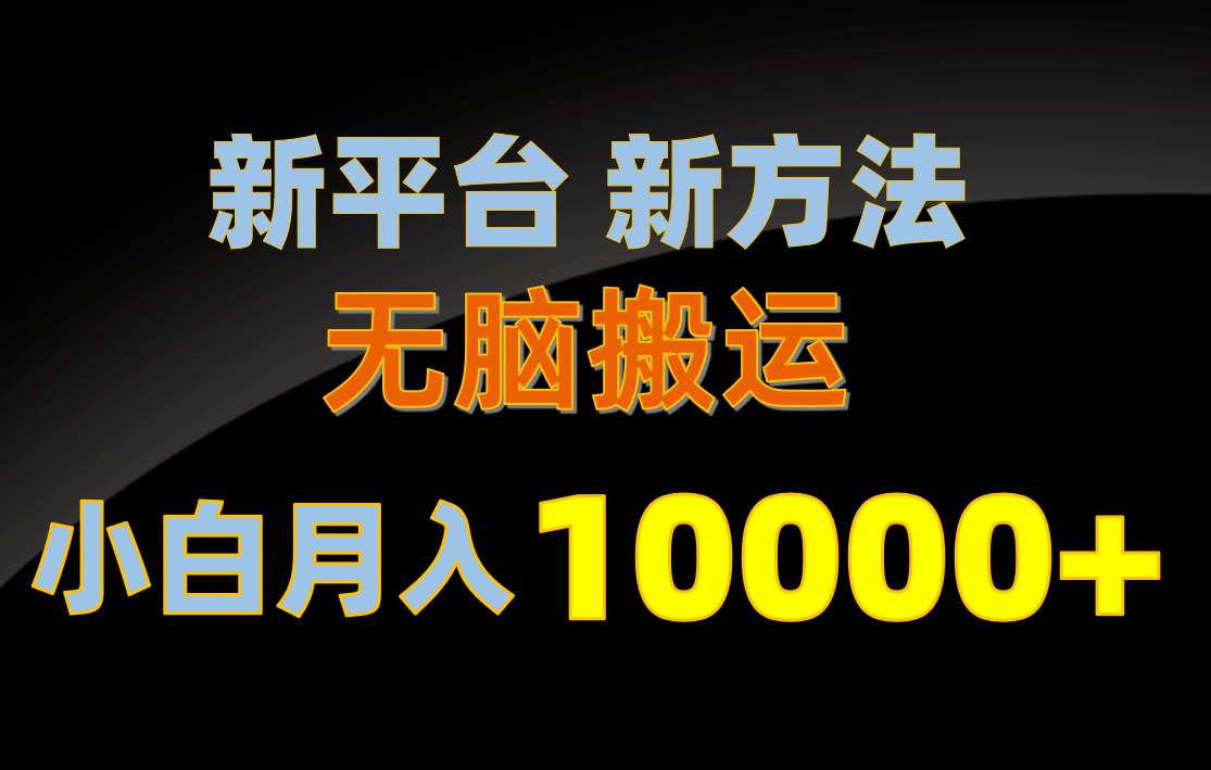 （10605期）新平台新方法，无脑搬运，月赚10000+，小白轻松上手不动脑-立业有术