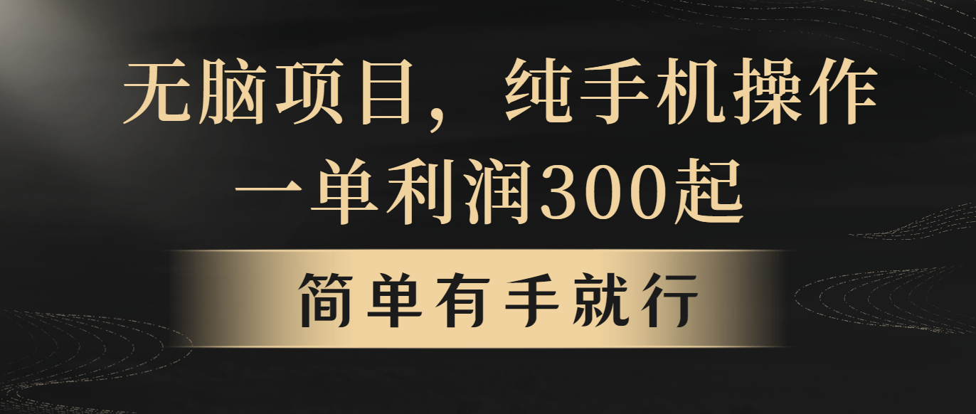 （10589期）无脑项目，一单几百块，轻松月入5w+，看完就能直接操作-立业有术