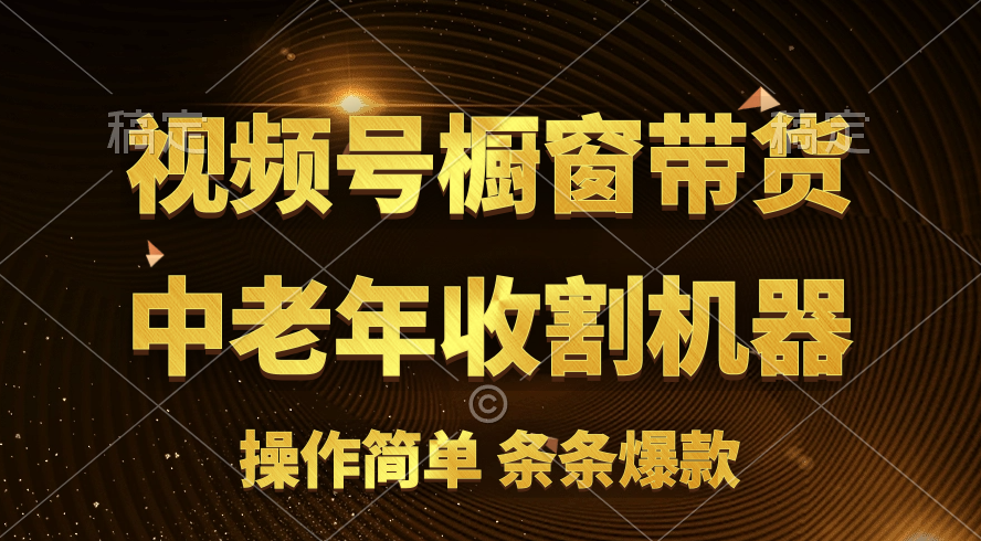 （11009期）[你的孩子成功取得高位]视频号最火爆赛道，橱窗带货，流量分成计划，条…-立业有术