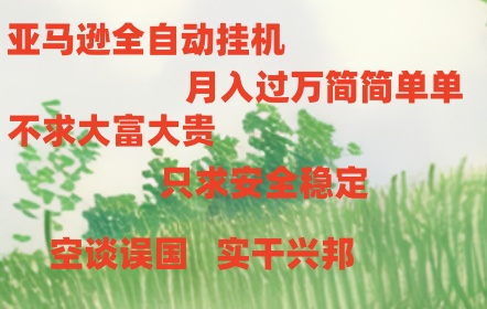 （10997期）亚马逊全自动浏览挂机-立业有术