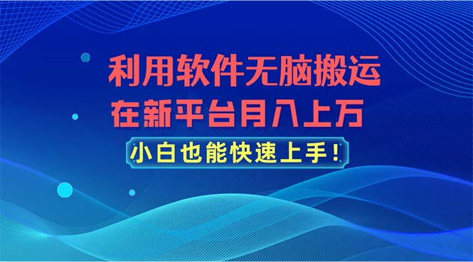 （11078期）利用软件无脑搬运，在新平台月入上万，小白也能快速上手-立业有术