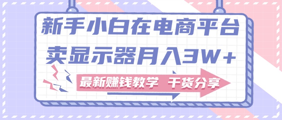 （11053期）新手小白如何做到在电商平台卖显示器月入3W+，最新赚钱教学干货分享-立业有术